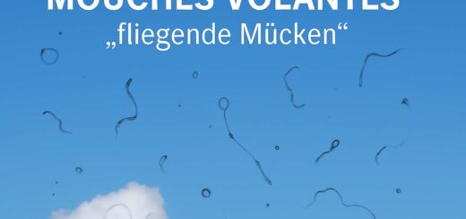 Mouches Volantes – Was tun gegen die „fliegenden Mücken“ im Auge?